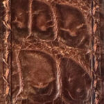 Brown Alligator
