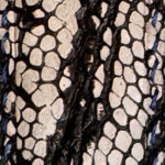 Grey Nubuck Ostrich Toe