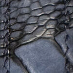 Navy Nubuck Ostrich Toe