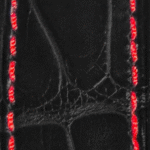 Black Alligator with Red Stitching